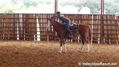 Addies Lil Girl - riding bridleless! - ValleyViewRanch.net