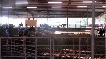 April With A Twist - 5/26/12 SWTPA #3 - 57.92 on 7 head - won 1st & over $300! -  Valley View Ranch