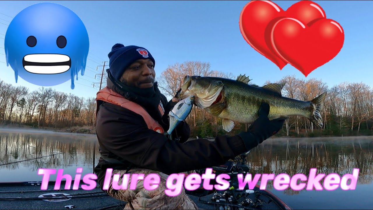 Winter bass glidebait fishing is the best