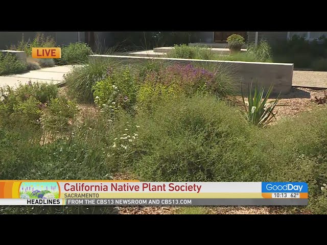 California Native Plant Society - YouTube