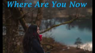 Vilians - Where are you now (Official song)