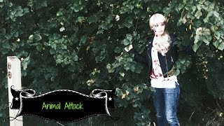 Frightorials 🎃 Animal Attack