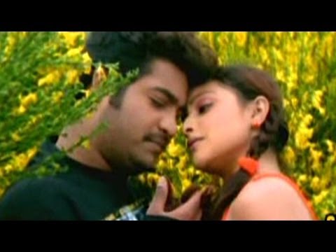 Subbu Telugu Movie || Love Passayyanu Video Song || NTR Jr, Sonali Joshi