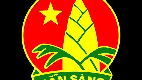 Tiểu Học Long Bình Chào cờ đầu tuần & về nguồn địa chỉ đỏ địa phương