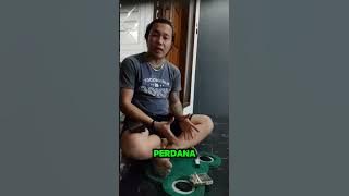 Pama/Mangon chicken's wings are down?