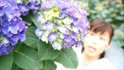 群馬の鉢花ギフト カオプストア 園芸チャンネル Youtube 群馬の鉢花ギフト カオプストア 園芸チャンネル Youtube