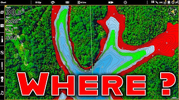 Post Spawn Transition: Where Do Bass Go And How To Catch Them! (Advanced Bass Fishing)