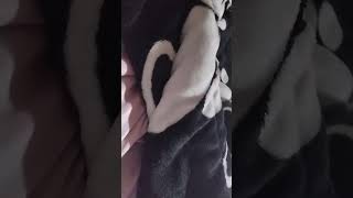 ¡Santa Isabel El Loquendero 2000 Especial Verano está emitiendo en directo!