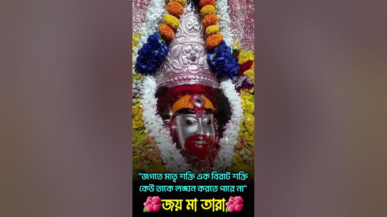 Joy Maa Tara Status 2023 YouTube