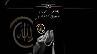 Mera Rab Qareeb hay Aur Woh Duayon Ko Sunnay Wala Hay | shorts islamicstatus quotes