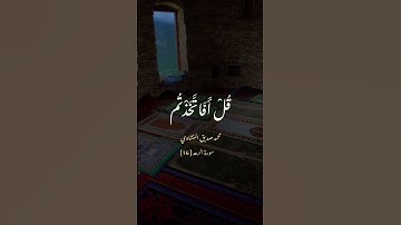 محمد صديق المنشاوي ، سورة الرعد 16 { قل أفاتخذتم من دونه أولياء }