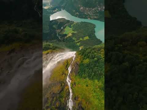 ريلز ريلز انستا ترند ماذا لو محتوى عربي علم وحياة تأمل محتوى مميز تثقيف غرائب