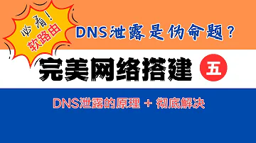 完美网络搭建5 安全翻墙 防DNS泄露 MosDNS 双ADGuard Home 