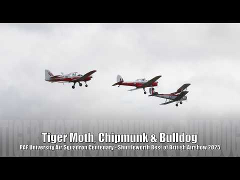 Tiger Moth, Chipmunk & Bulldog -RAF University Air Squadron 100 - Shuttleworth Best of British 2025