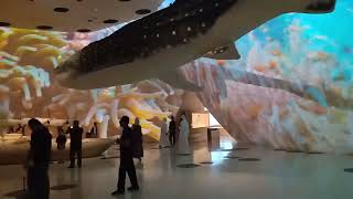 جولة في متحف قطر الوطني ، الدوحة