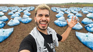 Sacamos TONELADAS de BASURA de la NATURALEZA