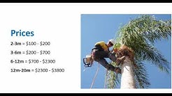 How much does it cost to cut down a tree?