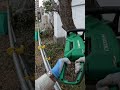 【枯れ木🌳伐採】根元グラグラで枯れていた雑木をチェーンソーで切ります。乾燥が進んでくれたお陰でスムースに切っていけます。今回保護具は手袋のみ【HiKOKI　CS3635DB　ハイコーキ】＃Shorts