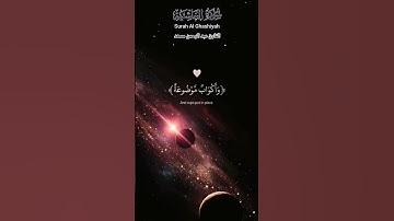 في جنة عالية ||(سورة الغاشية) القارئ عبد الرحمن مسعد #quran