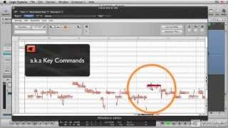 [Melodyne 7.02] Копировать \ вставить (Rus)