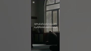 آيات من سورة التكوير، بصوت الشيخ عبد اللطيف عطية من صلاة العشاء 17/12/2024