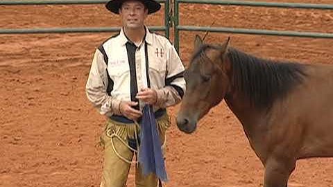 MEET PAT HOOKS. •  HORSE TRAINER & CLINICIAN