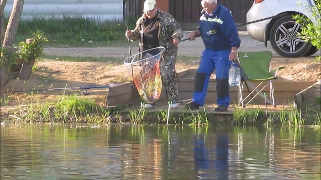 Квадрат на ленинградке платная рыбалка форум