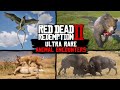 Ultra RARE Animal Encounters in Red Dead Redemption 2 PC 4K