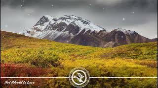 Flux Vortex - Not Afraid to Love