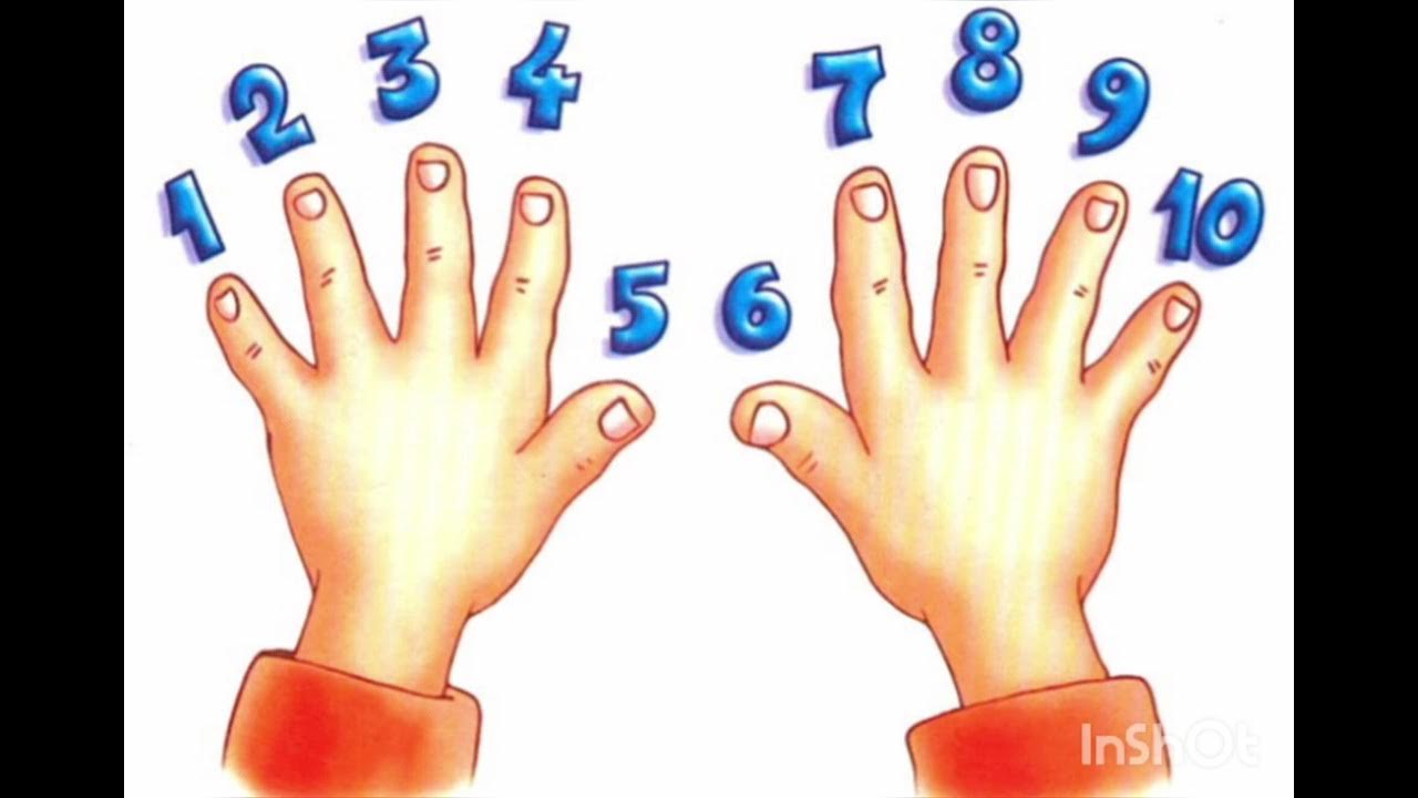 Можно считать на пальцах. Счет на пальцах. Счет на пальчиках для детей. Счет на пальцах для детей. Числа на пальцах.