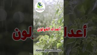 أعداء القولون    التغذية الصحة التغذية_السليمة الجزائر الغذاء خضروات وهران الصحة_والغذاء
