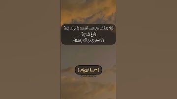 سورة القصص الآية ٨٦ الى ٨٨ بصوت الشيخ محمد صديق المنشاوي