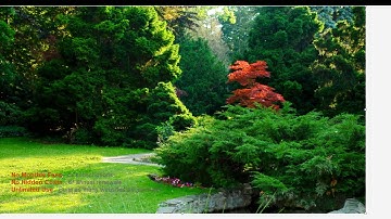 Using Layers with 90 Second Website Builder Version 14