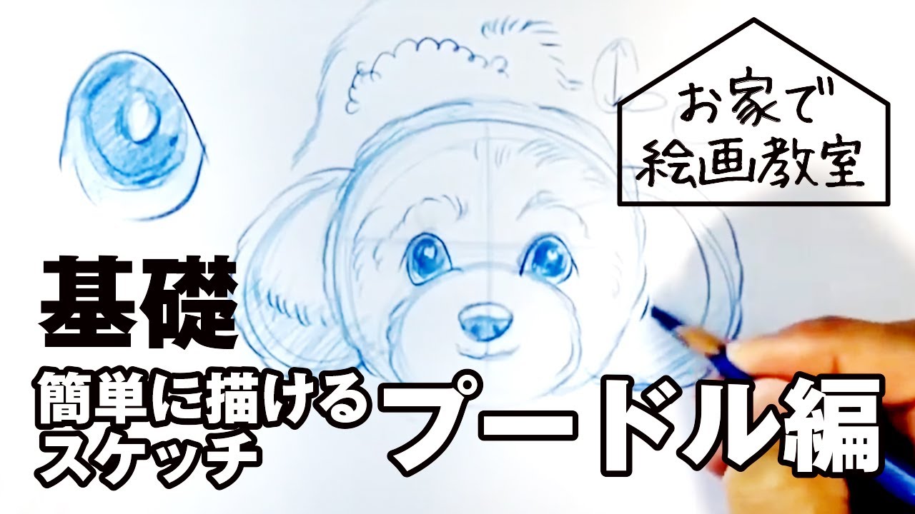 簡単に描けるスケッチ プードル編 犬 猫 専門似顔絵師と絵画教室講師基礎 初級 絵の描き方 美術 アートスクール ペットの描き方 犬似顔絵師dog How To Draw A Dog Poodle Youtube
