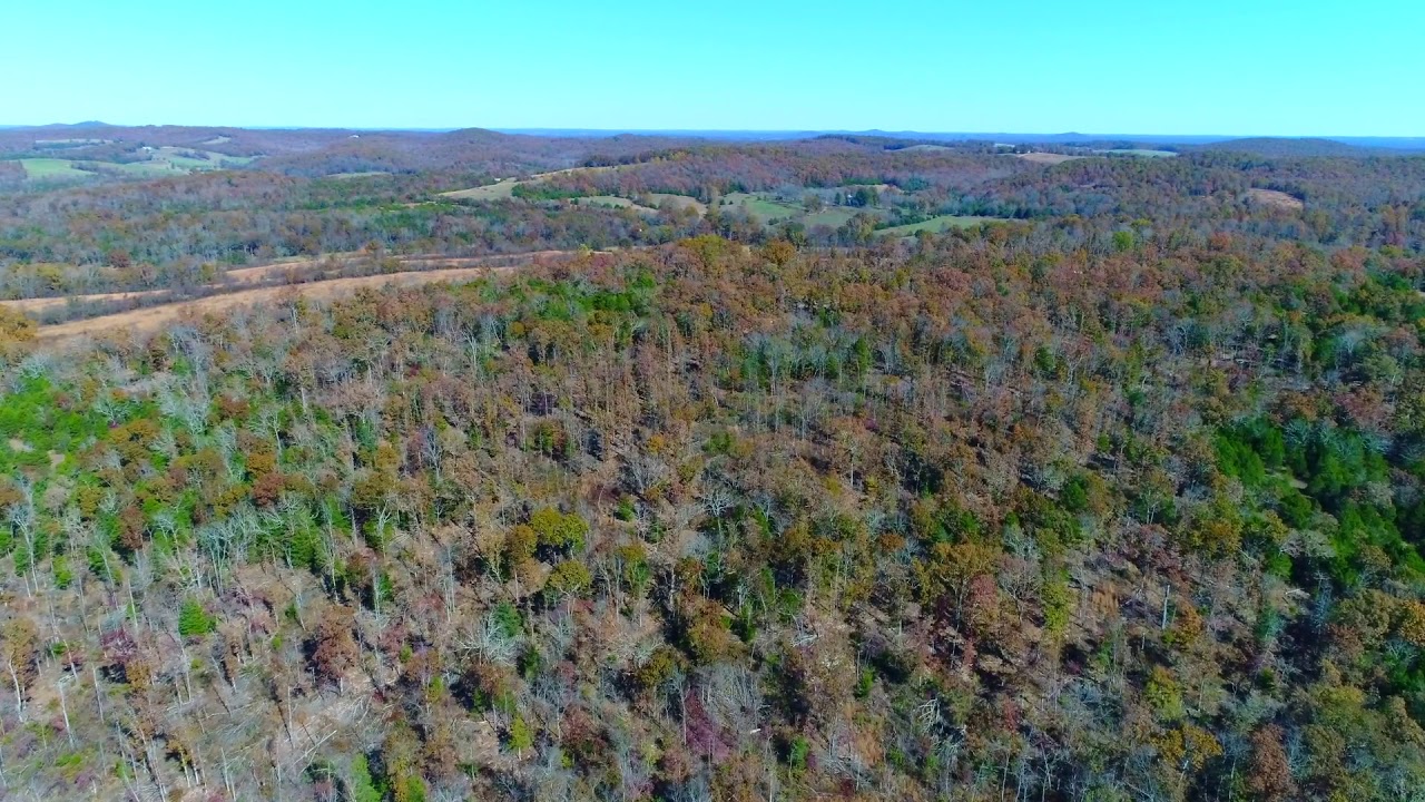 550 Down Land for sale with Owner Financing! ID