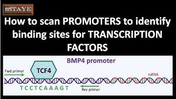 How to scan PROMOTERS to identify binding sites for TRANSCRIPTION FACTORS