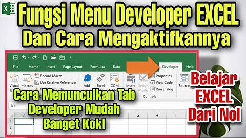 Fungsi Menu Developer EXCEL dan Cara Mengaktifkannya Lengkap
