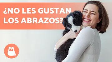 ¿A los perros les gusta que hables?