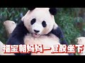 福宝刚拉完粑粑的屁股 竟然对着妈妈一顿摩擦 结果被妈妈胖揍了一顿 哒婷 关爱小动物 福宝刚拉完粑粑的屁股 竟然对着妈妈一顿摩擦 结果被妈妈胖揍了一顿 哒婷 关爱小动物