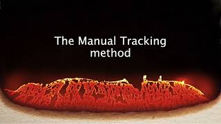 Flame Tracker v1.2.0: Manual Tracking