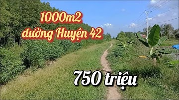 T.23 - Chỉ 750 TRIỆU cho 1000m2 Đất Huyện Lộ 42 | xã Tân Hòa Tây, H. Tân Phước, Tiền Giang