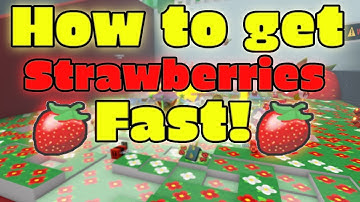 HOW TO GET STRAWBERRIES FAST! | Roblox Bee Swarm Simulator