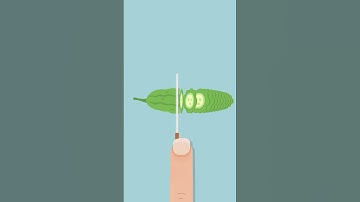 Satisgame new levels 841-860#satisgame #mobilegame #funny #gaming #relax