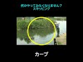 小学生の釣り遊び #Shorts