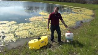 Controlling Algae in Farm Ponds
