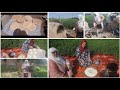 عجنت وخبزت في انور يالالة ويالالة شوفو حداكة فين وصلات