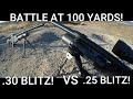 HATSAN BLITZ .25 VS BLITZ .30 AT 100 YARDS AND BEYOND! SEMI AUTO PCP AIRGUN DOES ARMY BOARD TEST!