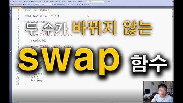 바뀌지 않는 swap 함수