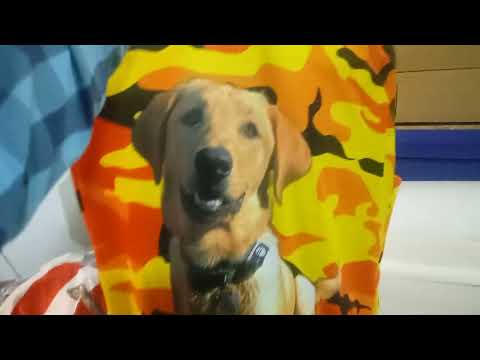 Bright Camo Orange