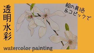 額縁　水彩画　肉筆　こぶし 花 mqdefault.jpg
